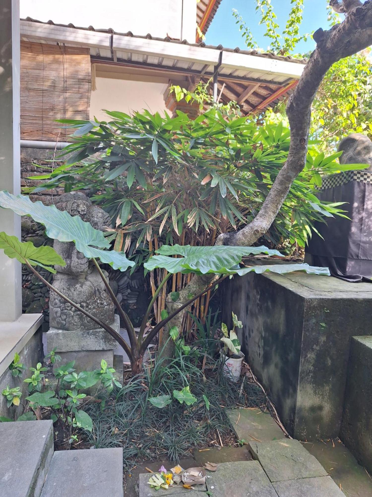 Kasapa Inn ウブド エクステリア 写真