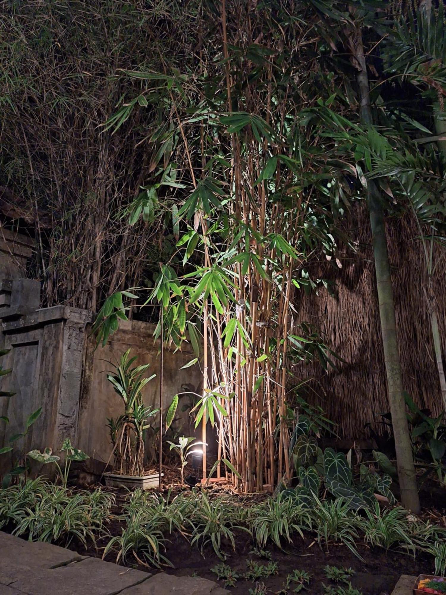 Kasapa Inn ウブド エクステリア 写真
